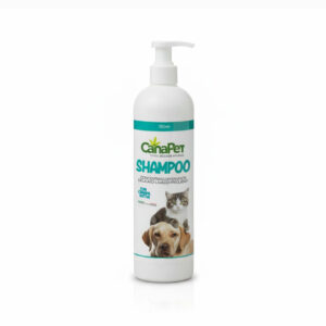 Shampoo